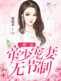一婚二宝:帝少宠妻无节制…