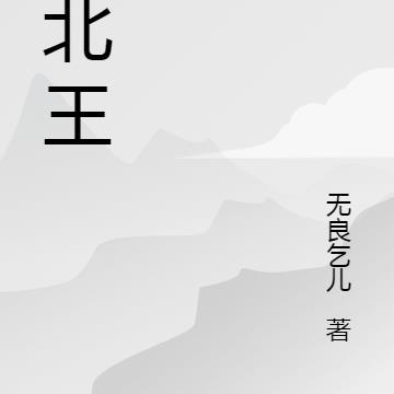 定北王